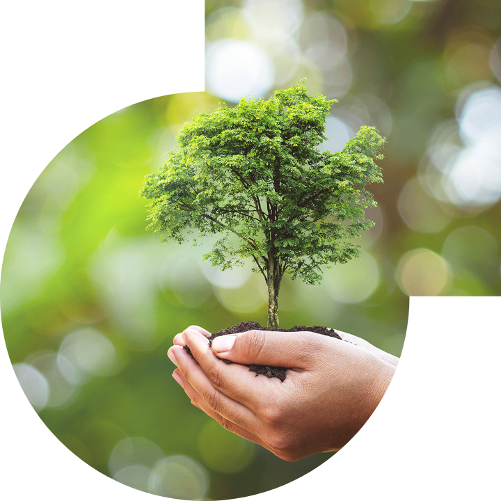 关怀人类、文化、环境与社会